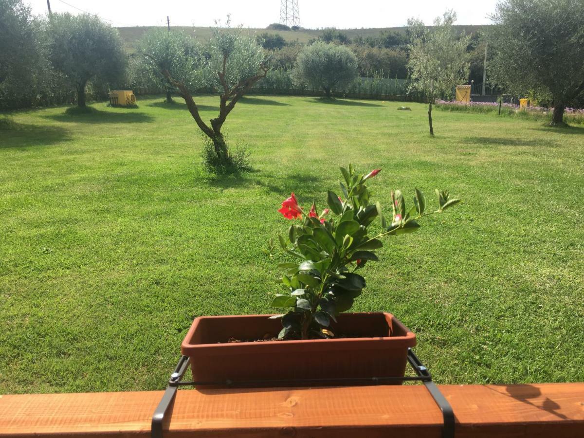 La Rosa Del Lago Bracciano  Exterior foto